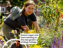  ?? ?? Emma Leaper and team working on the new garden at Kings College