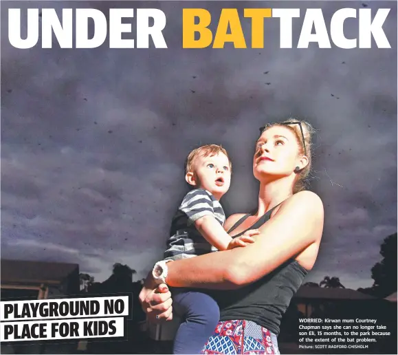  ??  ?? WORRIED: Kirwan mum Courtney Chapman says she can no longer take son Eli, 15 months, to the park because of the extent of the bat problem. Picture: SCOTT RADFORD- CHISHOLM