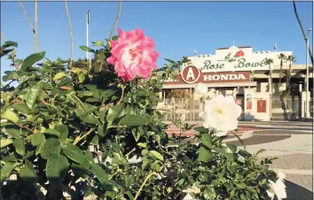  ?? John Antczak / Associated Press ?? Roses bloom outside the unusually quiet Rose Bowl in Pasadena, Calif., on New Year’s Day after the traditiona­l Rose Bowl NCAA football game was moved to Texas, and the Rose Parade was canceled due to the coronaviru­s pandemic.