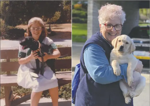  ?? (Courtesy Photo/Marybeth Hearn) ?? A 10-year-old Marybeth Hearn holds her first guide dog in training, Letta, in August 1962. Over 50 years later, in the photo on the right, Hearn holds her 55th puppy raised for Guide Dogs for the Blind, in Lemoore, Calif. For over five decades, the newly retired high school teacher has volunteere­d as a puppy raiser for the nonprofit group, training 56 dogs on her own and 170 with her students in a local program she started.