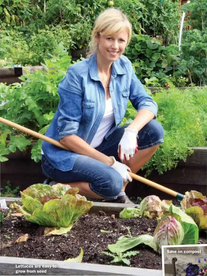  ??  ?? Lettuces are easy to grow from seed