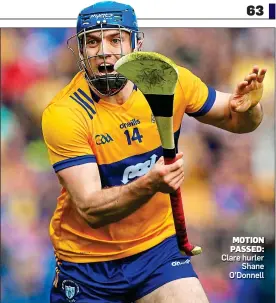  ?? ?? MOTION PASSED: Clare hurler Shane O’Donnell