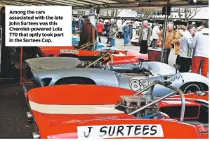  ??  ?? Among the cars associated with the late John Surtees was this Cherolet-powered Lola T70 that aptly took part in the Surtees Cup.