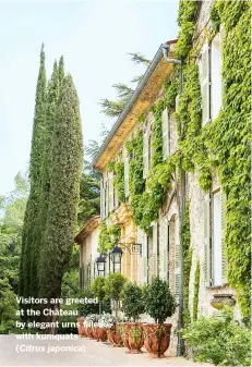  ??  ?? Visitors are greeted at the Château by elegant urns filled with kumquats (Citrus japonica)