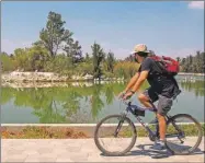 ??  ?? Un ciclista observa a los pelícanos en la zona protegida del islote del lago del Bosque de San Juan de Aragón, en Ciudad de México