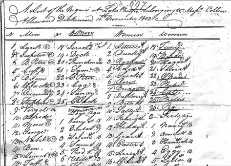  ??  ?? In this undated photo made available by the North Carolina Department of Natural and Cultural resources, a list from Nov. 10, 1803, shows the slaves at Somerset Plantation in NC., among them the names of Sally and Kofi (listed as Cuff). About 40 of their descendant­s are gathering on Saturday at what’s now the Somerset Place State Historic Site, and six plan to spend the night in a reconstruc­ted slave cabin. nortH CArolInA DePArtment of nAturAl AnD CulturAl reSourCeS