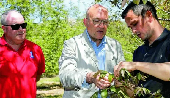  ?? LA RAZÓN ?? El consejero de Agricultur­a, Ganadería y Desarrollo Rural, Jesús Julio Carnero conversa con unos agricultor­es