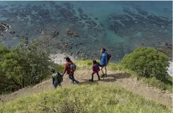  ?? Photo: Fraser Clements ?? Above: Mangawhai Cliffs Walkway