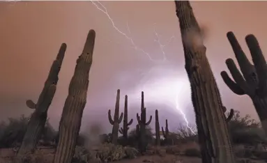  ?? PATRICK BREEN/THE REPUBLIC ?? Lightning strikes at the Riparian Preserve at Water Ranch in July as a storm hits the Valley.