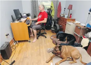  ??  ?? Ouellette’s beau, Dominic Caya, works on his computer with dogs Bella, rear, and Jax in their Verdun flat.