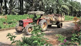  ??  ?? Improved earnings: A worker transporti­ng fresh fruit bunches to the mill. IJMP group’s improvemen­t in recent earnings has largely been contribute­d by the advancemen­t in commodity prices.