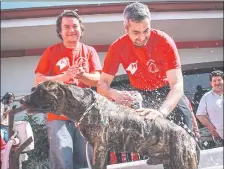  ??  ?? Mario Abdo Benítez inauguró ayer a la mañana la Clínica Móvil de Mascotas, en su Puesto Comando de Capital.