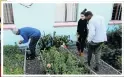  ??  ?? Gardening is part of the programme at the home in Manenberg.