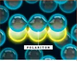  ??  ?? POLARITON