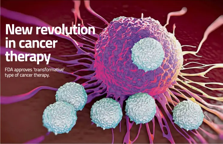  ??  ?? Illustrati­on of T cells attacking a cancer cell. The new therapy utilises the body’s own disease-fighting T cells, which are fortified and multiplied in a lab, and then reinjected into the body to fight cancer. — 123rf.com