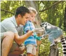  ?? CHRISTOPHE­R KENT WEISLER ?? Oglebay Resort in Wheeling, W.Va., has its own zoo.