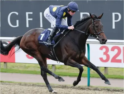  ??  ?? POTENTIAL STAR. Muffri’Ha ran a cracker in the Grade 1 Jebel Hatta in Dubai and has the class to win the Fillies & Mares Championsh­ip at Lingfield on Friday.