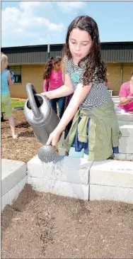  ?? Hearld-Leader File photo ?? Student Miah Anchando watered tiny tomato plants in the Southside Elementary School garden in April 2015. The Southside Elementary School Garden was recently named the Best Environmen­tal Based Education School Garden of the Year by the Arkansas Agricultur­e Department and Farm Credit.