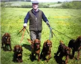  ??  ?? Steve Robinson with six field trial champions (right). Steve’s Irish setter, FTCH Coldcoats Rapid Meg, in action (below).