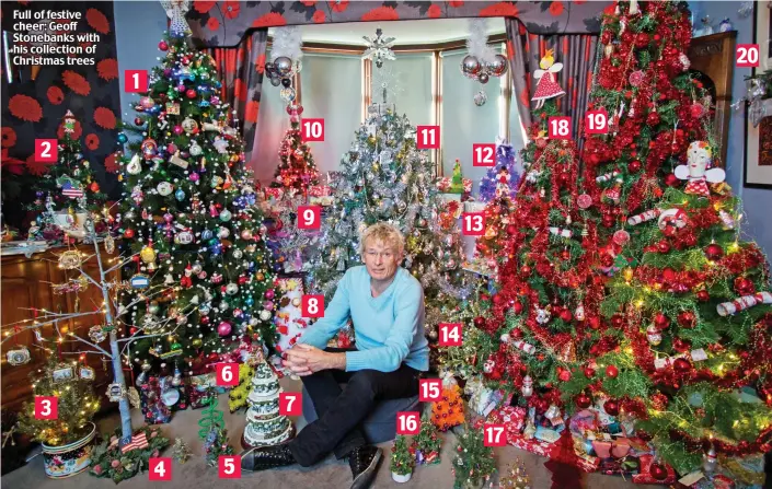  ??  ?? Full of festive cheer: Geoff Stonebanks with his collection of Christmas trees