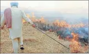  ?? PTI FILE ?? A farmer burns paddy stubble in Patiala.