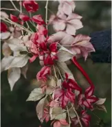  ??  ?? The rich tones of flowers and foliage at this time of year lend themselves well to a seasonal display. Hung up indoors or out, the wreath highlights autumn’s beauty