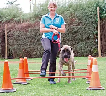  ??  ?? Dr Tanya Grantham with her bullmastif­f Arnie.