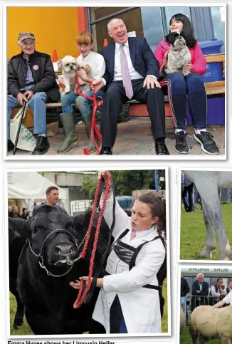  ??  ?? Emma Hynes shows her Limousin Heifer