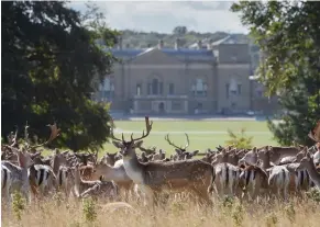  ??  ?? Pictured left-right: Holkham Hall; Pensthorpe Natural Park; The Marble Hall in Holkham Hall