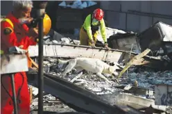  ?? Associated Press ?? Members of a search-and-rescue team and a dog search Monday through the rubble of mobile homes destroyed by a wildfire in Santa Rosa, Calif. With the winds dying down, fire crews gained ground as they battled wildfires that have devastated California...