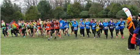  ??  ?? Les championna­ts de l’Aude de cross-country ont eu lieu dimanche 8 janvier à Castelnaud­ary.