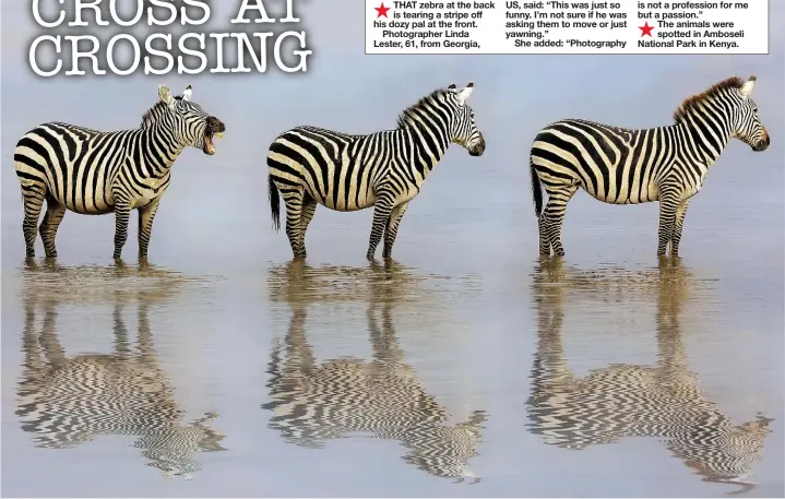  ??  ?? THAT zebra at the back is tearing a stripe off his dozy pal at the front. Photograph­er Linda Lester, 61, from Georgia,
US, said: “This was just so funny. I’m not sure if he was asking them to move or just yawning.”
She added: “Photograph­y is not a profession for me but a passion.”
The animals were spotted in Amboseli National Park in Kenya.