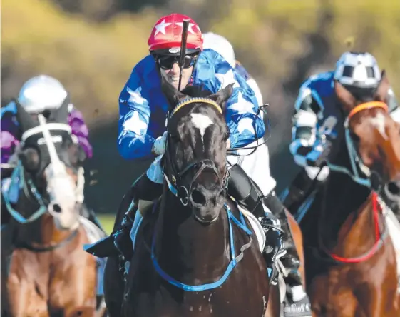  ?? Picture: GETTY IMAGES ?? Brisbane-bound Harper's Choice (centre) wins the Winter Cup at Rosehill last year.