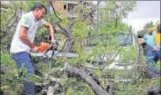  ?? NITIN KANOTRA/HT ?? Disaster relief force personnel cut down parts a tree that was uprooted by strong winds in Jammu on Friday.