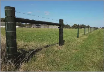  ?? ?? FENCE POSTS newly treated with the new ‘creosote’, Tanasote