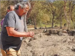  ??  ?? Don Ryberg shows a traditiona­l pounding stone, which native people used to crush acorns and pine nuts for food. About 10 pounding holes are preserved at the Kulu fishing village site, each hole being used by a family each.