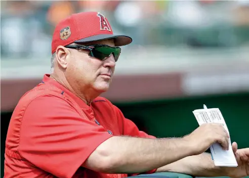  ?? AP ?? Mike Scioscia se encuentra en su temporada 18 al mando de los Angelinos de Anaheim, campeones de la Serie Mundial de 2002.