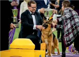  ?? AFP ?? Rumor the German Shepherd and handler Kent Boyles pose for photos after winning Best In Show at the Westminste­r Kennel Club Dog Show at Madison Square Garden, in New York City. —