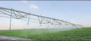  ?? SHUTTERSTO­CK ?? Automatic sprinklers irrigate a field in Israel. The Telangana agricultur­e secretary said Israel was chosen for the tour because it was a pioneer in modern agricultur­e techniques.