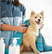  ??  ?? Pet spas and dog walking services are offered at many communitie­s.