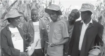  ??  ?? Ms Sibusisiwe Gulu shows off a maize cob from her plot to Agritex officer Mr Kuda Nkomo and National Tested Seeds manager Mr Mathew Sibanda while two villagers look on at a field day in Dundubali Village 2B in Umguza District recently