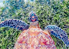  ??  ?? Wow factor: a green turtle swimming over seagrass off Australia in ‘Blue Planet II’