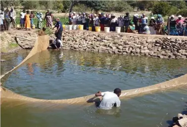  ??  ?? Fish farming in Zimbabwe