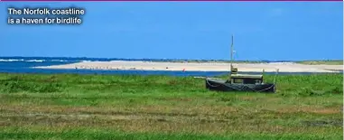  ?? ?? The Norfolk coastline is a haven for birdlife