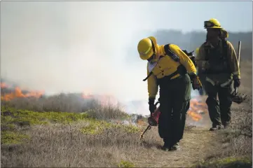  ?? PHOTOS BY WILL DUNCAN — SANTA CRUZ SENTINEL ?? Natalie Pineida, a member of the Amah Matsun Land Trust, torches along the coastal trail of Cascade Field in Año Nuevo State Park during a prescribed burn on Nov. 19.