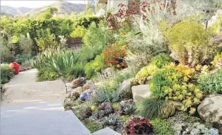  ?? Johanna Woollcott ?? SUCCULENTS and more fill one garden on the Assn. of Profession­al Landscape Designers tour.