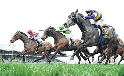  ?? Trish Dunell ?? Wait A Sec (red cap) gets up to win the Spring Carnival Handicap at Hastings yesterday.