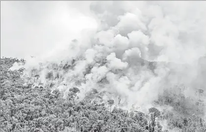  ?? ?? Gustavo Petro planteó a Brasil, Ecuador, Perú, Bolivia, Venezuela y Francia, del que depende Guyana francesa, un diálogo regional sobre la conservaci­ón de la Amazonia, ante el avance de la deforestac­ión y la minería. En la imagen, incendio en el estado de Pará, Brasil. Foto Afp