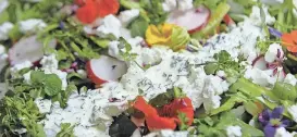  ?? AIMEE BLUME/EVANSVILLE COURIER & PRESS ?? Spring salad is enhanced with wild cress and edible flowers and dressed with delicious spring dill and chive dressing.