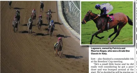  ??  ?? Caledonia Road, co-owned by Maurice Regan, who easily won the Juvenile Fillies Grade One at the Breeders’ Cup meeting in the US on Saturday night. Laganore, owned by Patricia and Maurice Regan, who won a Grade One Classic in Italy.